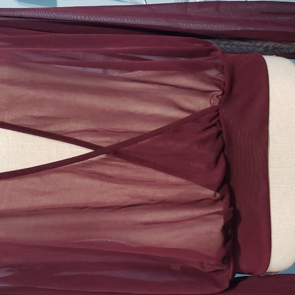 Express Sheer Deep-V Top - Picture 3 of 7